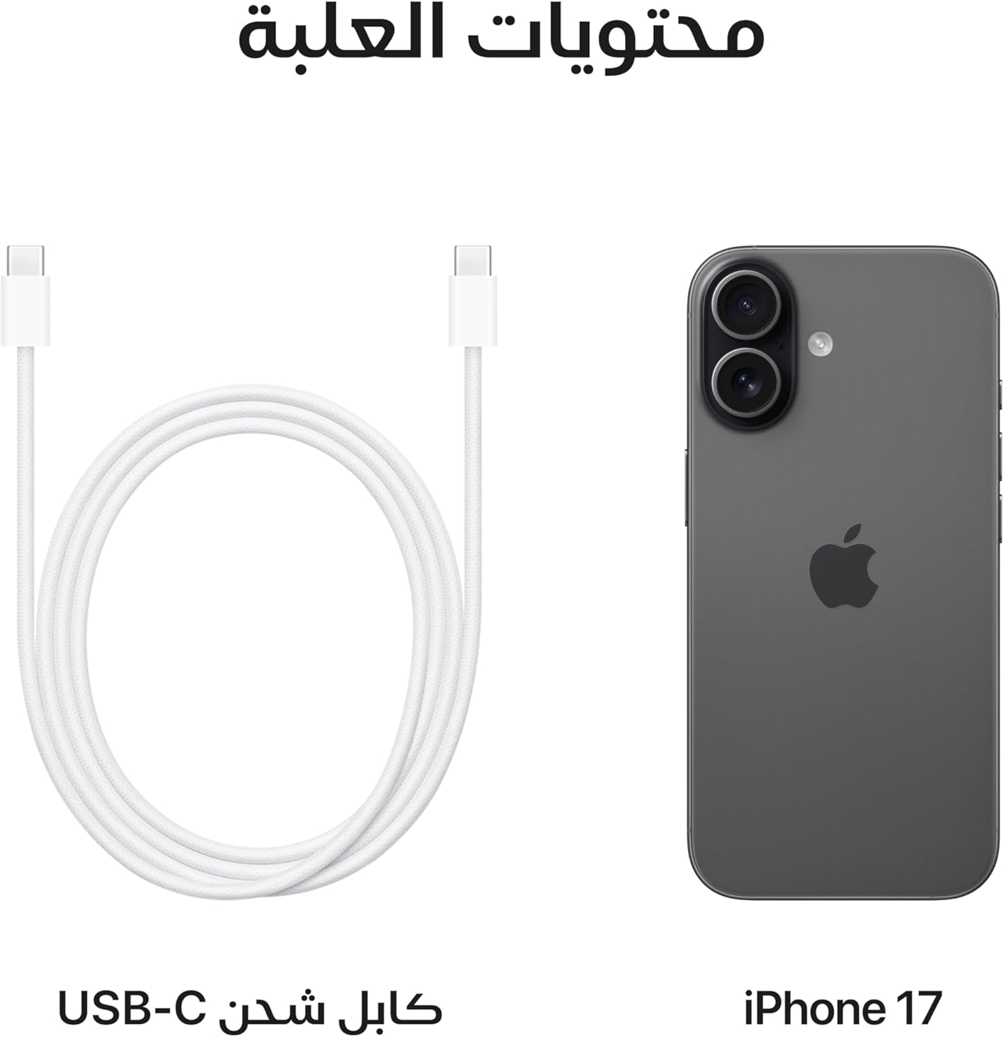 iPhone 17