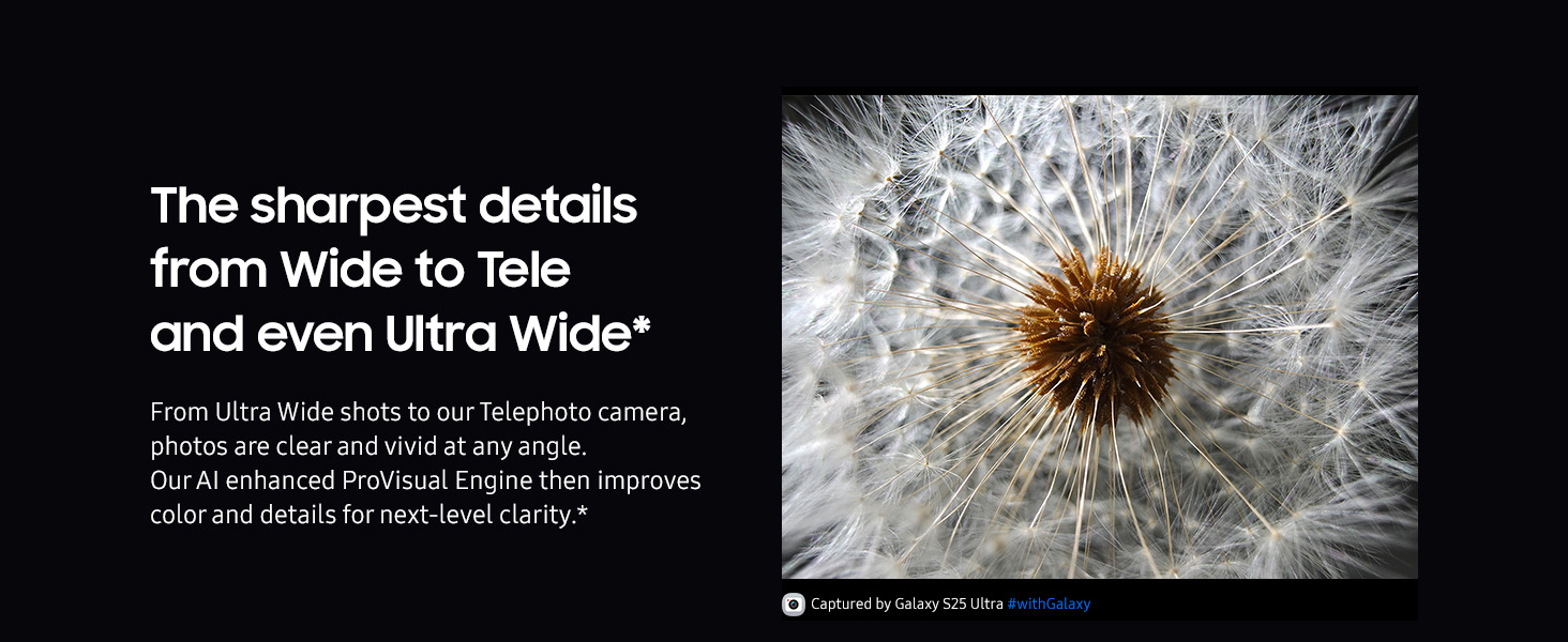 Galaxy S25 Ultra